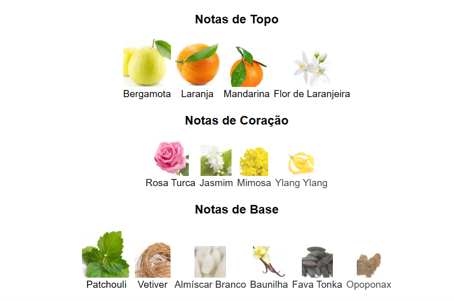 Como Moiselle | Maison Alhambra