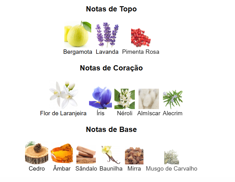 Magnetiq Aromatix X | French Avenue